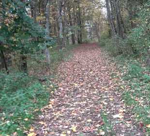 Wandern um die Rauber Ruine