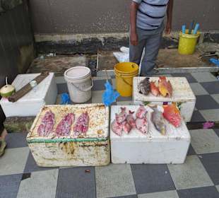 Unterwegs im einheimischen Markt 