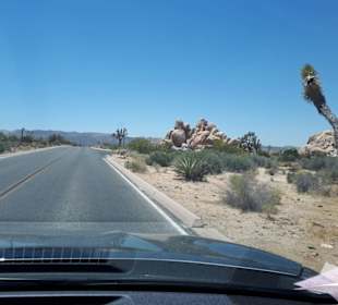 Impressionen von der Deserts-Region