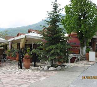 Cafe - Restaurant am Eingang des Tierparks