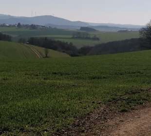 Ausblick über die grünen Täler der Eifel