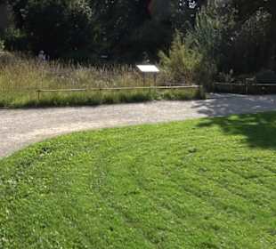 Botanischer Garten München