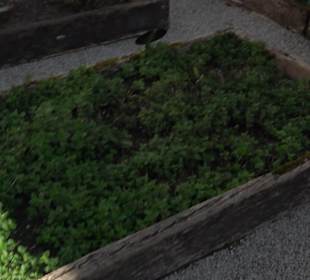 Benediktinerkloster mit Klosterkirche