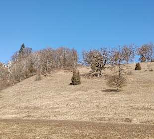 Wandern Königsbronn