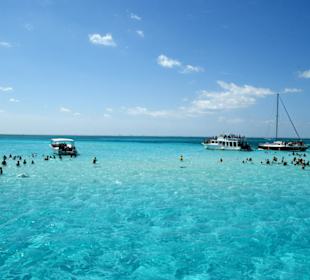 Schwimmen mit Rochen