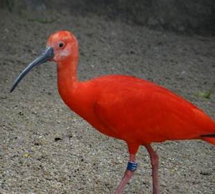 Rundgang im Tierpark