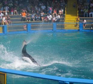 Miami Seaquarium