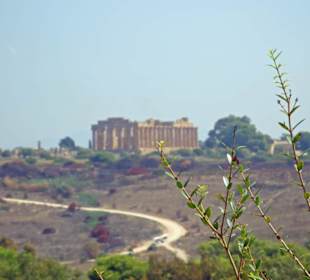 Auf der Akropolis der Herkulestempel