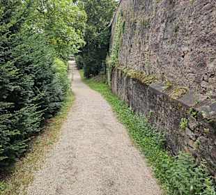 Schloss Johannisburg