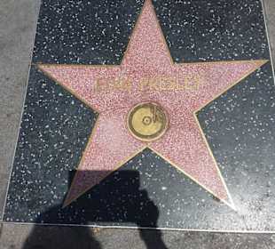 Hollywood Walk of Fame