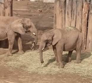 Zoo