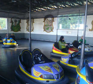 Autoscouter im >Talhof<