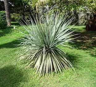 Impressionen vom Jardin des Plantes