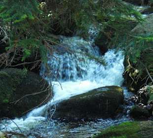 Kleiner Bach