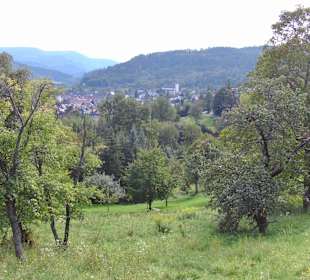 Blick auf Gernsbach