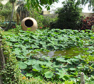Der Garten