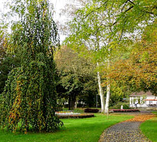 Impressionen aus dem herbstlichen Schlosspark
