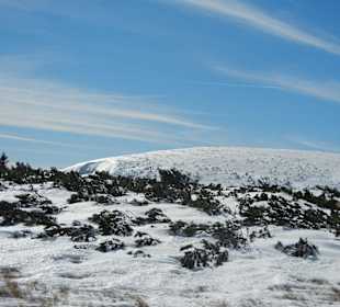Schneekope/Śnieżka