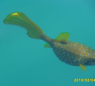 SUNRISE Grand Select Crystal Bay Resort