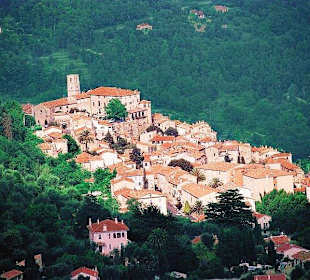 Umgebung