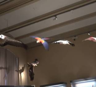 Museum der Naturkunde
