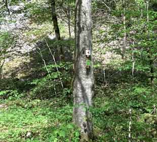 Premiumwanderweg Hochgehschätzt