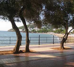 Passeig Maritim