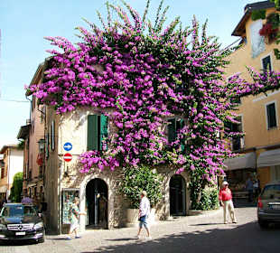 Blumenhaus in Sirmione/Altstadt