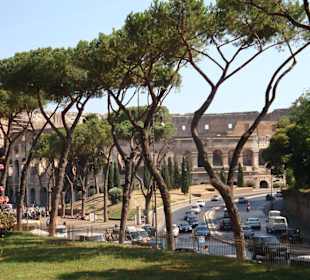 Blick auf das Colosseum