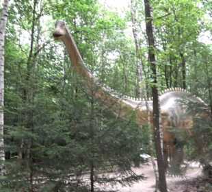 Dinosaurier Museum Altmühltal