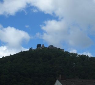 Blick auf die Ruine am Schloßberg