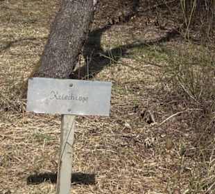 Premiumwanderweg "hochgeblickt"