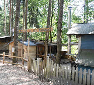 Fluch der Piraten 2013