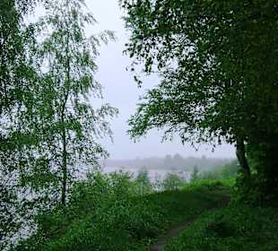 Rzeka Newa