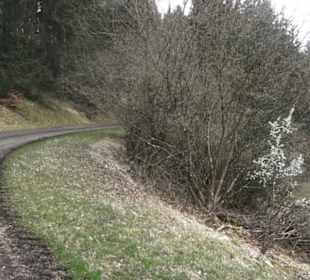 Wanderung Heiligental