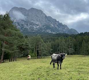 Wandern Seiser Alm