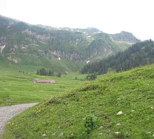 Wanderweg zur Alpe Wurzach