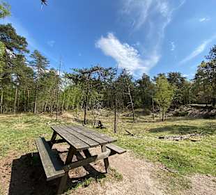 Nationaal Park De Hoge Veluwe