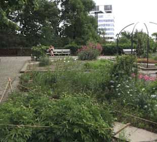 Alter botanischer Garten