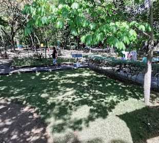 Ausflug zum National Park Los Tres Ojos mit Andy