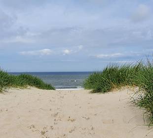Strand auf Texel