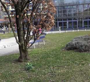 Mädchenbrunnen