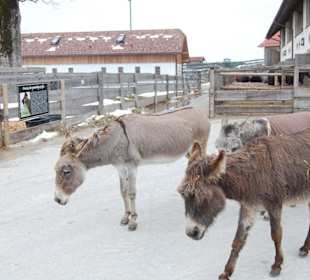 Bitte seid lieb zu uns