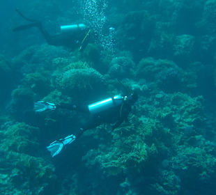 Tauchen Marsa Alam