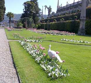 Parkanlage mit den freilaufenden weißen Pfauen