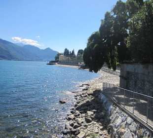 Musso
