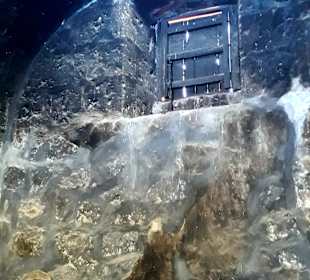 Santa Catalina Kloster