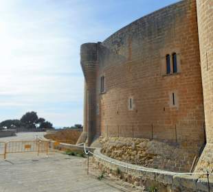 Castell Belvedere