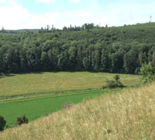 Burgruine Niederhaus