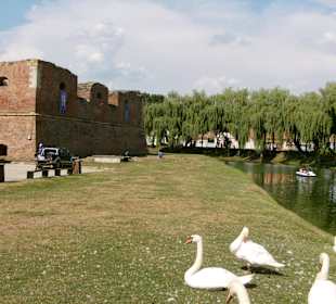 Făgăraș/Fogarasch